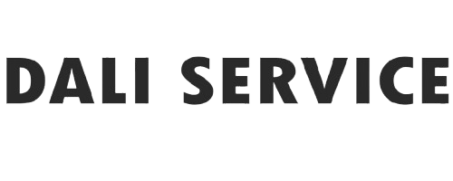 DALI SERVICE CONSULTING INC